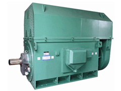 JR500L2-6YKK系列高压电机