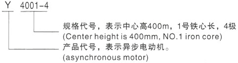 西安泰富西玛Y系列(H355-1000)高压JR500L2-6三相异步电机型号说明