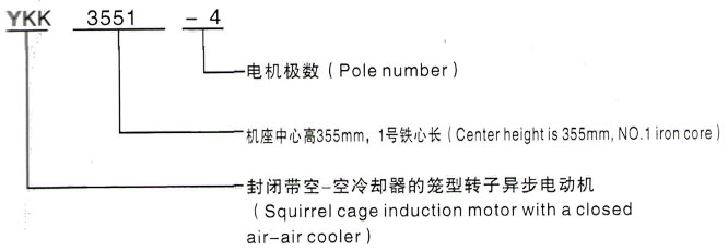 YKK系列(H355-1000)高压JR500L2-6三相异步电机西安泰富西玛电机型号说明